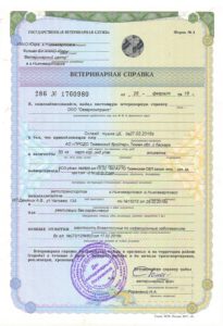 Курица Ветеринарная справка